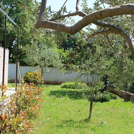 Apartment Paganor