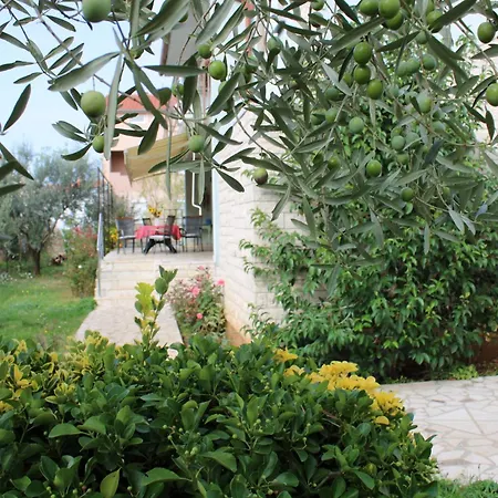 Paganor Appartement *