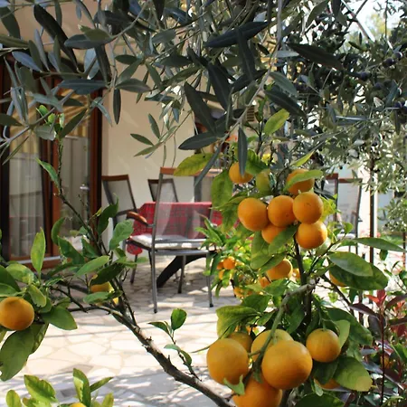 Paganor Apartment Pula